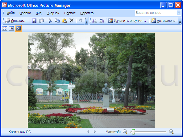 Рис.2 Картинка,  открытая в Microsoft Picture Manager