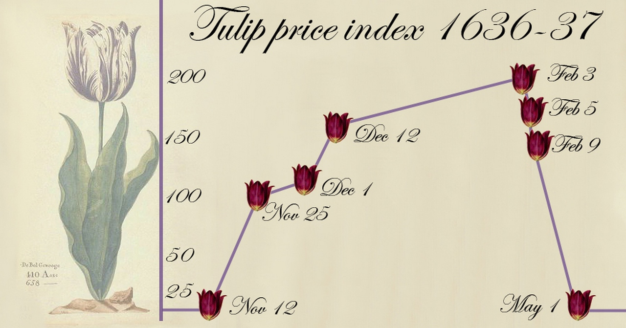 Почему тюльпаны падают. Тюльпаномания Голландии 17 век. Тюльпаномания в Голландии в 17 веке график. Тюльпаномания в Голландии в 17 веке. Тюльпановая лихорадка в Голландии 17 века.