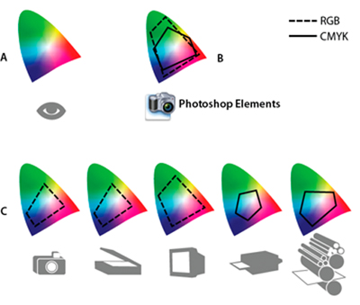 Рисунок 1: Иллюстрация цветовых пространств от Adobe